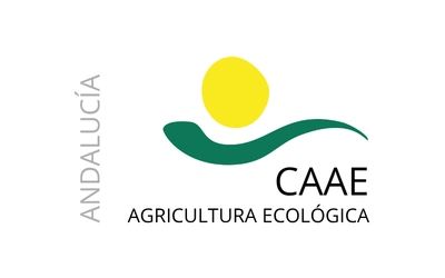 CAAE